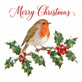 Traditional robin and holly 6 x 6 inch Christmas card front on a white background
